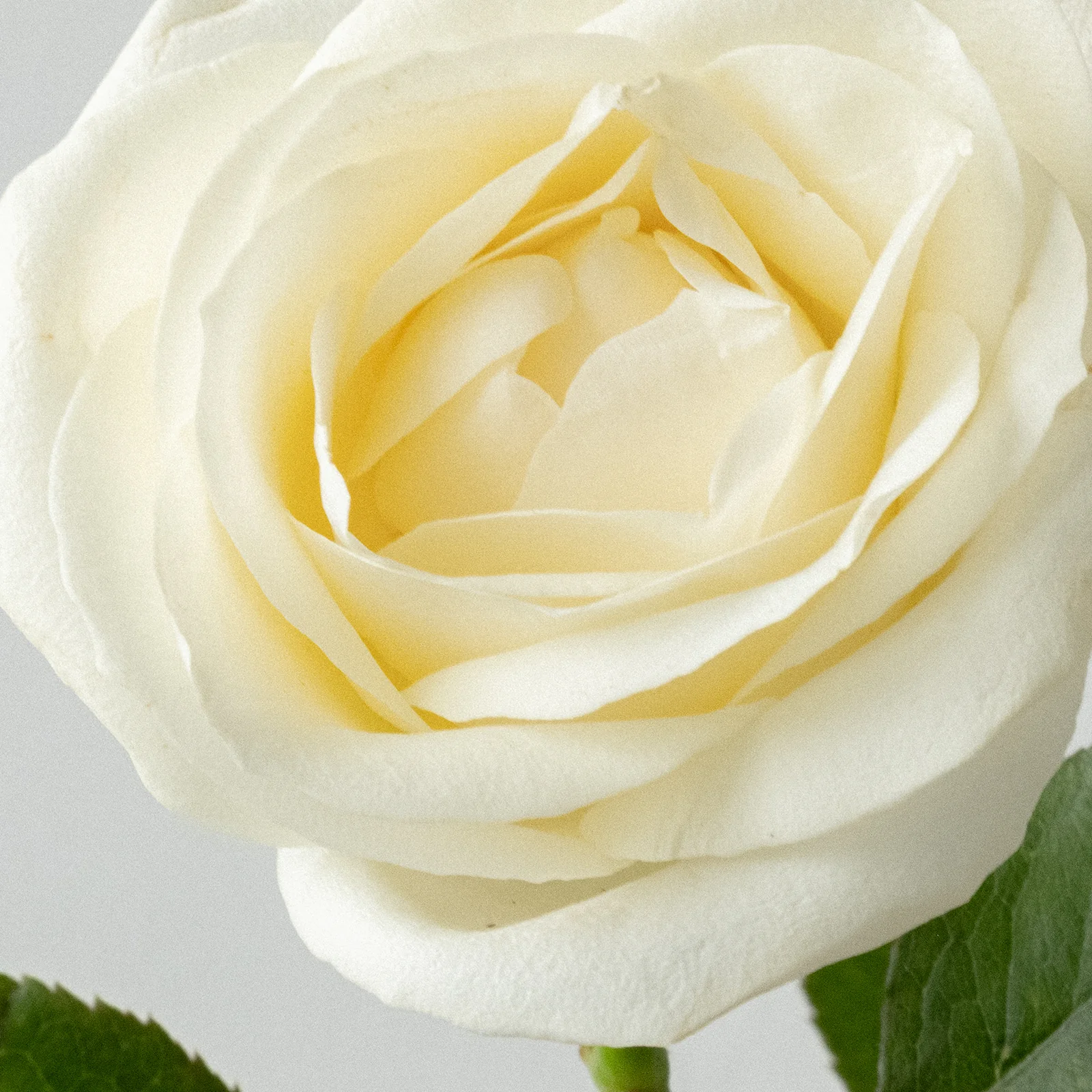 Soothing Laundry Detergent Strips 32 Loads - Image 7