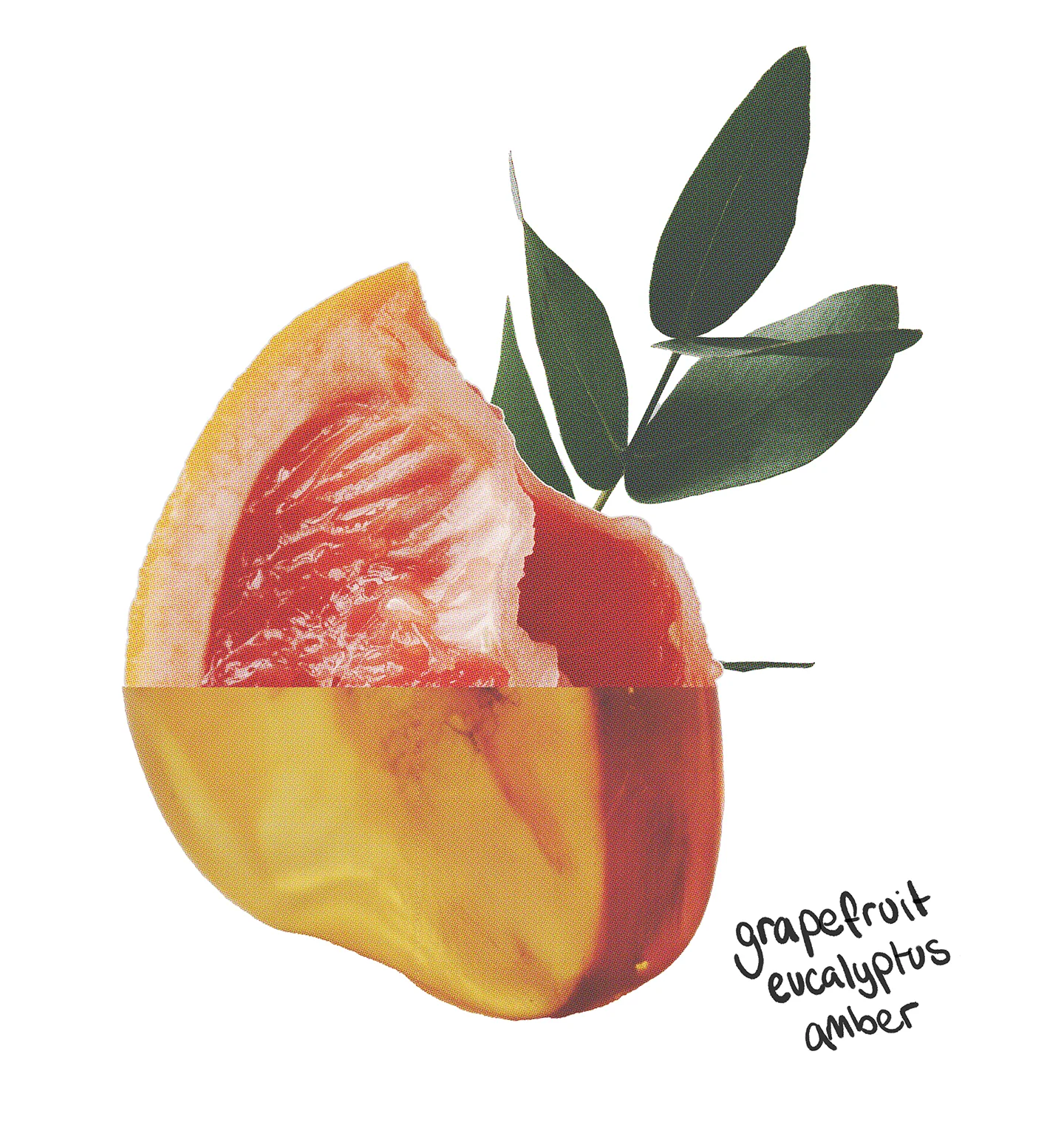 Energising Laundry Detergent Strips 64 loads - Image 6