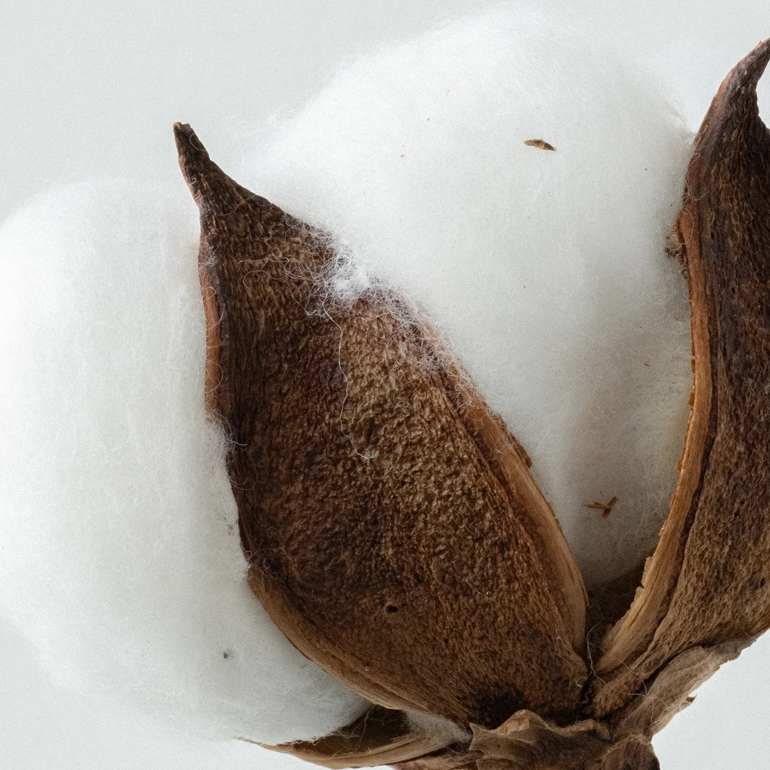 Relaxing Laundry Detergent Strips 64 Loads - Image 4