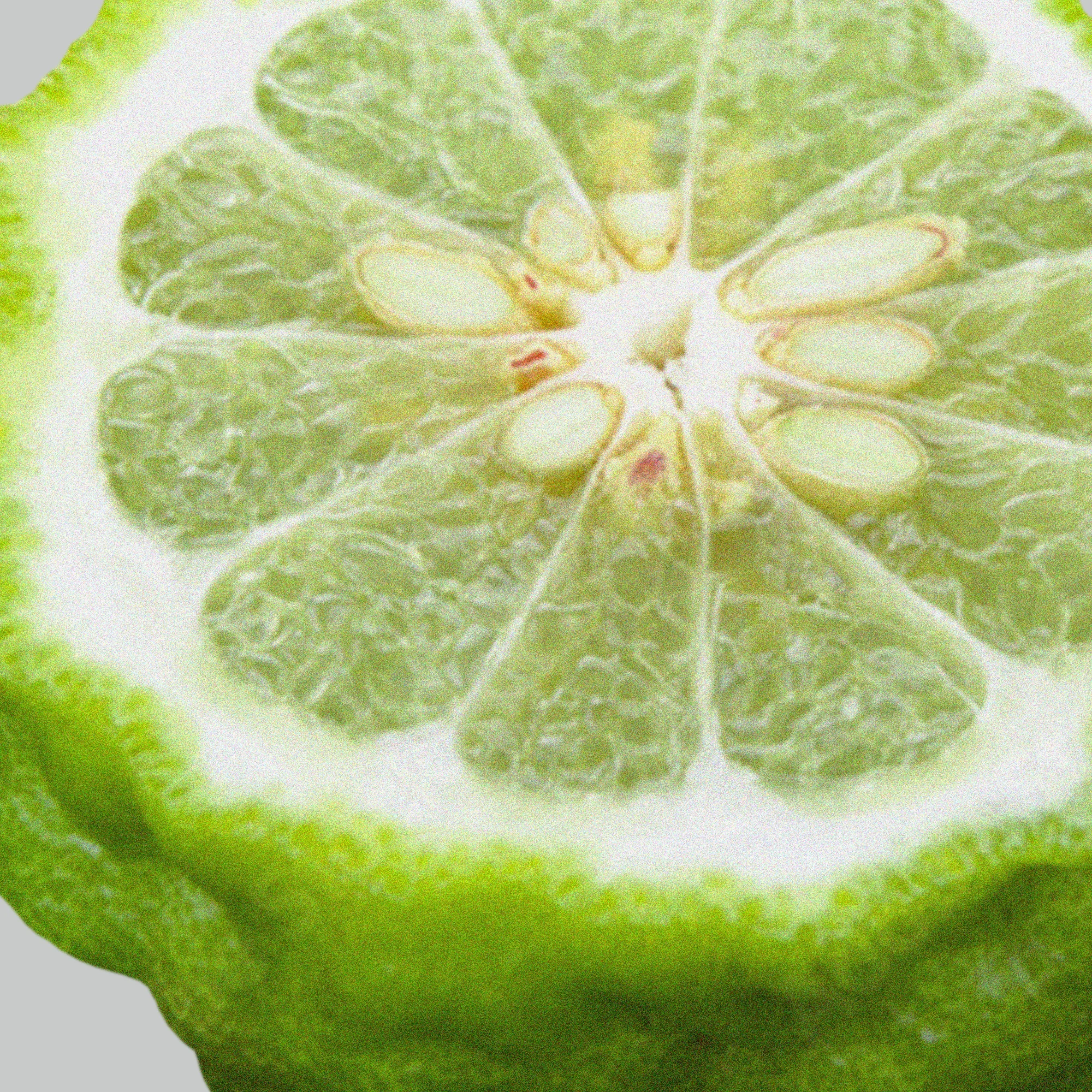 Welcoming Laundry Detergent Strips 64 Loads - Image 6