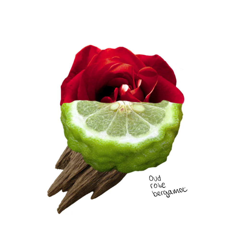 Welcoming 100% Soy Wax Candle 280g - Image 9